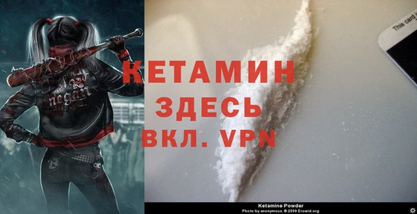 дживик Богородск