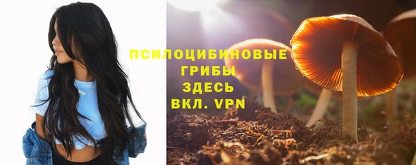 ALPHA-PVP Богородицк