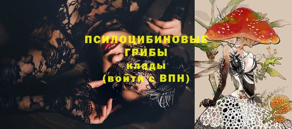 ALPHA-PVP Богородицк