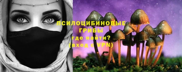 ALPHA-PVP Богородицк